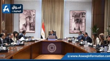 رئيس الوزراء يُطالب بالإسراع في تحضير الفرص الاستثمارية في مجال الصحة