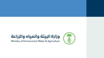مسالخ نجران تستقبل 6500 ذبيحة خلال عيد الأضحى المبارك