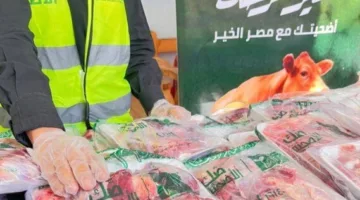 حملة “إصدار الأضاحي” في المنيا: 186 أضحية تشمل 133 قرية لتوزيع اللحم على الأسر المحتاجة.
