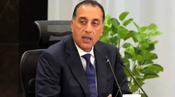 رئيس الوزراء يناقش فرص الاستثمار في مجالات الكهرباء والطاقة على مدى العقد المقبل
