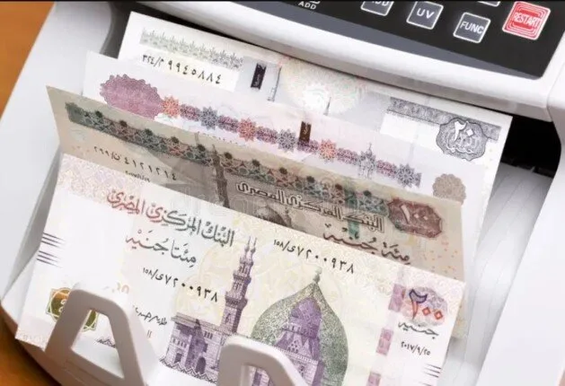 بنوك تقلل معدلات العائد على شهادات الادخار بالجنيه المصري بنوك تقلل معدلات العائد على شهادات الادخار بالجنيه المصري