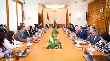 وزير الخارجية والهجرة يشرف على مبادرات دعم المصريين في الخارج