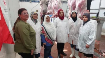 6045 أضحية في م slaughterhouses منطقة البحر الأحمر خلال عيد الأضحى
