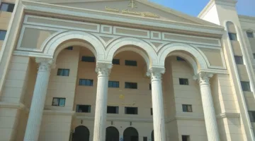 عقوبة السجن 10 سنوات للمتهم بقتل شقيقه نتيجة نزاعات أسرية في بنها