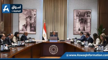 رئيس الوزراء يستعرض فرص الاستثمار في مجال الكهرباء والطاقة خلال العقد القادم