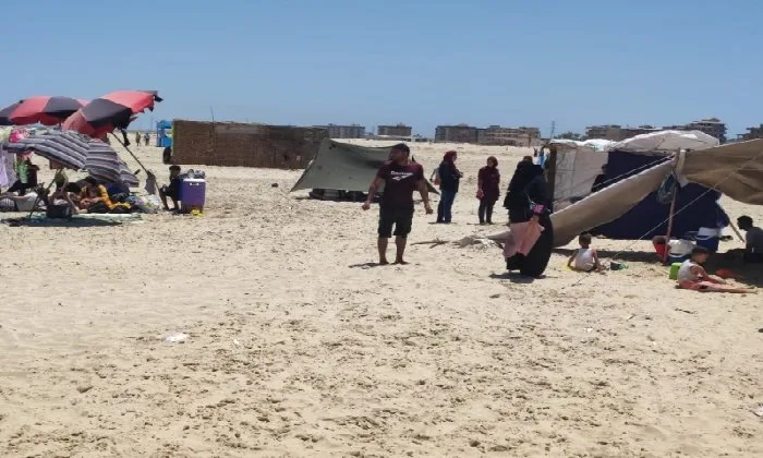 إزالة 20 خيمة غير قانونية على شاطئ جمصة إزالة 20 خيمة غير قانونية على شاطئ جمصة