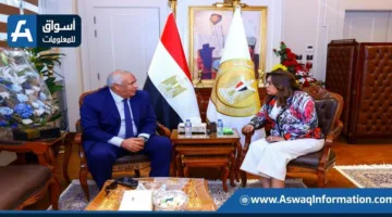 ضمن مبادرة “حياة كريمة”: إنجاز 321 مشروعًا في الوادي الجديد بتكلفة تبلغ 9 مليارات جنيه