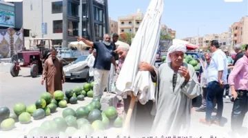 الهيئة في مدينة السادات تواصل جهودها المكثفة لإزالة المخالفات والانتهاكات