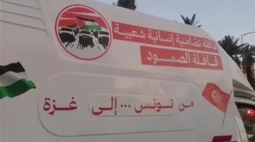 بعد وصولها إلى ليبيا: كيف سترد مصر على قافلة الصمود البرية لفك الحصار عن غزة؟ ما هي السيناريوهات المحتملة؟ وهل سيلبي شيخ الأزهر النداء الأخير؟