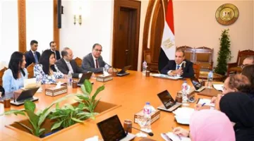 توجيهات هامة من وزير الخارجية إلى البعثات الدبلوماسية المصرية حول الانتخابات البرلمانية القادمة
