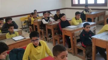 نتائج الصف الرابع الابتدائي 2025 للفصل الدراسي الثاني في القاهرة.. رابط الاستعلام باستخدام رقم الجلوس