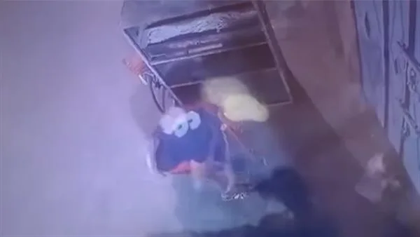 كشف تفاصيل اعتداء شخص على قطة وإلقاء حجر عليها حتى تسبب في وفاتها كشف تفاصيل اعتداء شخص على قطة وإلقاء حجر عليها حتى تسبب في وفاتها
