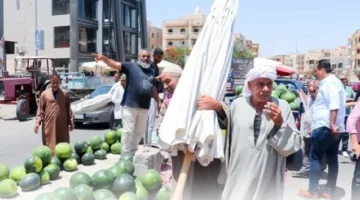 مدينة السادات تواصل جهودها المكثفة لرفع الإشغالات والاعتداءات.