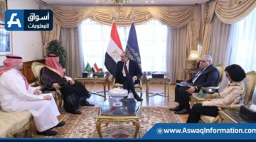 مصر والسعودية تستكشفان فرصاً جديدة للتعاون في مجالات الاتصالات والتكنولوجيا المعلوماتية.