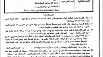 “مصر العليا للكهرباء” تعلن عن وظيفة قيادية شاغرة.. اكتشف الشروط المطلوبة للتقديم