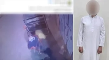 الحقيقة وراء الفيديو المتداول حول اعتداء شخص على قطة بحجر حتى وفاتها