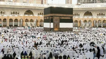 بعثة حج الجمعيات الأهلية تراقب استراتيجية نقل الحجاج إلى المدينة المنورة