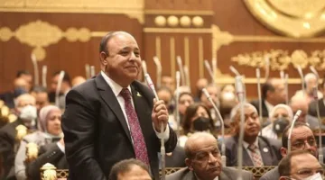 نائب برلماني: 30 يونيو أنقذت مصر والرئيس السيسي قاد جهود بناء الدولة المدنية.