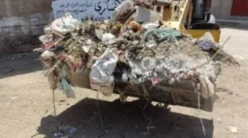 جمع 150 طنًا من النفايات والركام في 6 قرى بمركز سوهاج