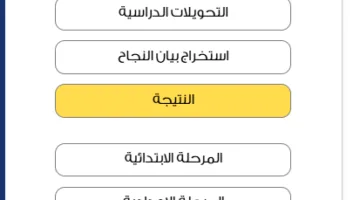 دفع مسبق| نتائج صفوف النقل في القاهرة متاحة ‘مقابل رسوم’ على بوابة التعليم الأساسي