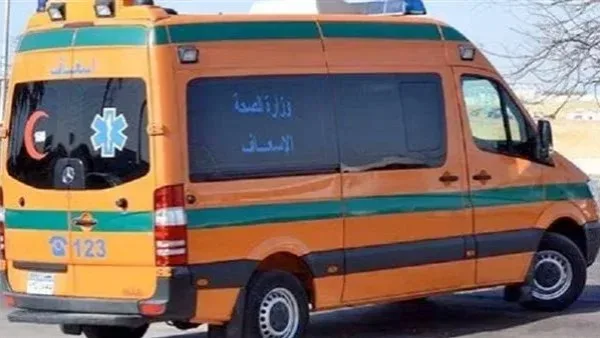 مصرع طفلة نتيجة سقوطها من ألعاب نادي الجامعة في الإسماعيلية مصرع طفلة نتيجة سقوطها من ألعاب نادي الجامعة في الإسماعيلية