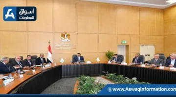 وزير الإسكان يراقب تقدم مشروعات “حياة كريمة” واستراتيجية توطين الصناعة
