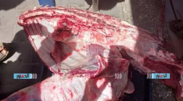طرق طبيعية وآمنة للتخلص من رائحة لحوم الأضحية
