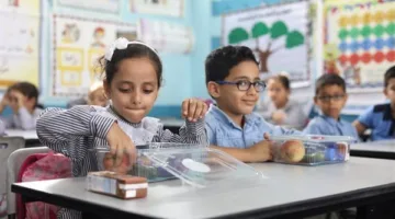 رابط نتائج السادس الابتدائي في القاهرة وطريقة الاستعلام من خلال بوابة التعليم