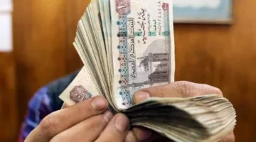 ما هو هدف البنك المركزي المصري من الاجتماع القادم لتحديد سعر الفائدة بعد الزيادة الكبيرة في معدل التضخم؟