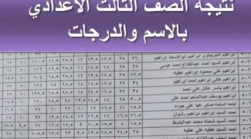 نتائج الصف الثالث الإعدادي 2025 – الفصل الدراسي الثاني من خلال بوابة التعليم الأساسي باستخدام رقم الجلوس أو الاسم