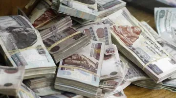 السقف اليومي للسحب النقدي من البنوك وأجهزة الصراف الآلي وإنستاباي بعد قرار البنك المركزي الأخير.