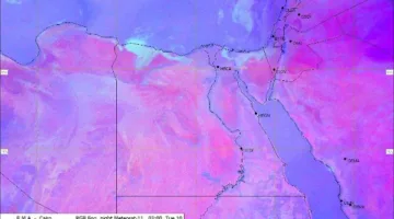 الأرصاد تنبه: درجات حرارة عالية وضباب كثيف صباحًا