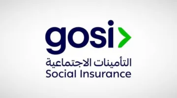 12.4 مليون شخص مسجل في التأمينات الاجتماعية