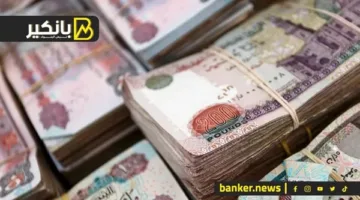 ما هي أهم المجالات التي تتلقى تسهيلات مالية من البنوك؟