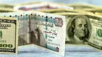 عنوان بديل: “سر الانخفاض المفاجئ للدولار في البنوك: مليارات الهند والصراع مع الصين حول قناة السويس.. وما قصة جسر موسى بين مصر والسعودية؟”