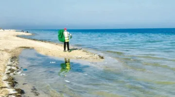 الجهات البيئية تنظم حملة تنظيف في شاطئ سميسمة