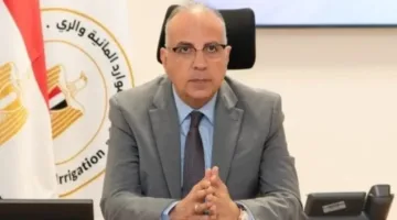 وزير الموارد المائية يبحث سبل حماية الشواطئ في السواحل الشمالية لمصر لتعزيز البيئة البحرية