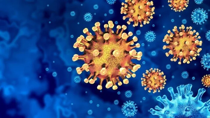 المتحور الجديد من كورونا «نيمبوس».. طرق الحماية من الإصابة بالفيروس المتحور الجديد من كورونا «نيمبوس».. طرق الحماية من الإصابة بالفيروس