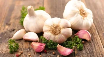 تناول الثوم على معدة فارغة: فوائد استخدامه يوميا