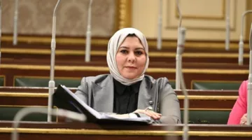 برلمانية: توجيهات الرئيس السيسي حول الإيجار القديم تعكس رسالة اطمئنان للجميع