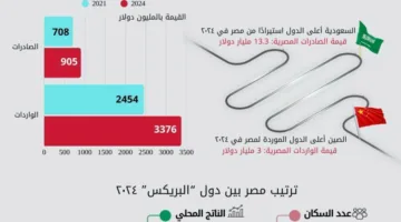 إحصاءات: ارتفاع قيمة الصادرات المصرية إلى دول البريكس بنسبة 31.5%
