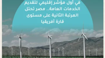 مصر تحتل المرتبة الثانية بين أفضل الدول في أفريقيا في مؤشر جودة الخدمات العامة (PSDI)
