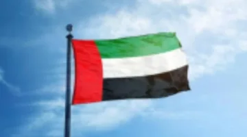بأقوى العبارات.. الإمارات تستنكر الاعتداء الإرهابي على موقع عسكري في تشاد