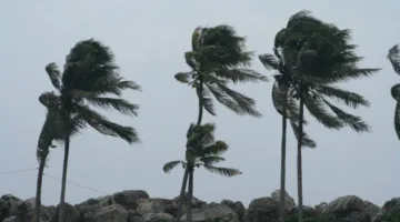 الأرصاد الجوية: هبوب رياح قوية على منطقة حائل