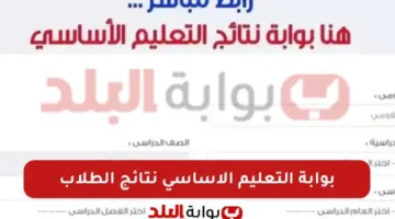 بوابة التعليم الأساسي في القاهرة 2025: نتائج الصفوف الثالث والرابع والخامس والسادس الابتدائي والصفين الأول والثاني الإعدادي