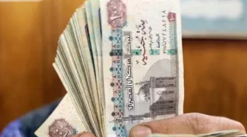 معاش شهري لهؤلاء الأطفال من وزارة التضامن وفقًا للقانون.. تعرف عليهم