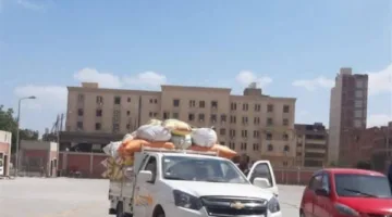 الشرقية تحتل المركز الأول بين محافظات مصر في توريد القمح، باستلام 594 ألف طن.