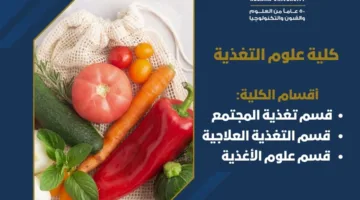 تنسيق الجامعات 2025: معلومات شاملة عن كلية علوم التغذية في جامعة حلوان