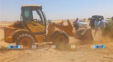 استعادة 2245 فدانًا وإزالة 135 حالة تعدٍّ في الموجة الـ 26 من الحملة بالوادي الجديد