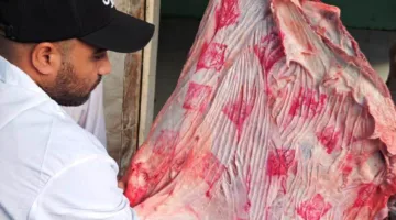 محافظ أسوان: ذبح 3169 حيوانًا تحت إشراف بيطري شامل في 13 مجزرا خلال عيد الأضحى المبارك.